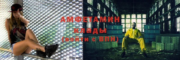 мдпв Пыталово