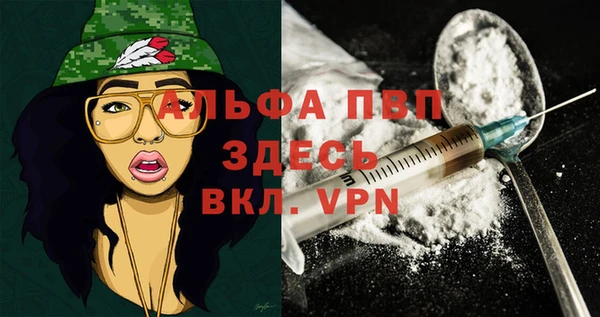 гидра Ахтубинск