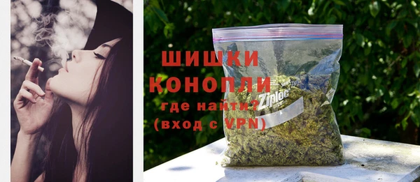 Альфа ПВП Аша