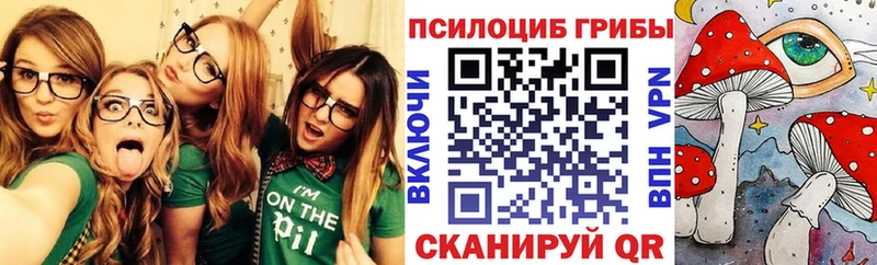 гидра как войти Южа Галлюциногенные грибы мицелий